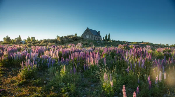 Hermoso paisaje de Nueva Zelanda . — Foto de Stock