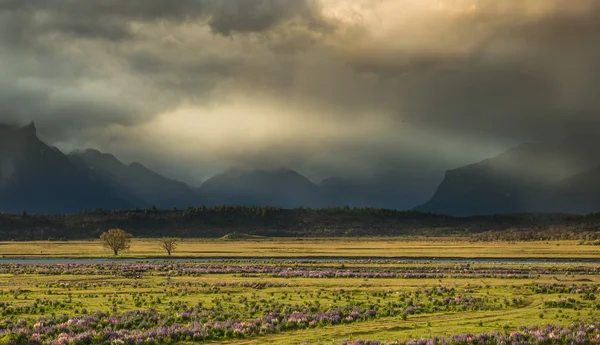 Hermoso paisaje de Nueva Zelanda . — Foto de Stock