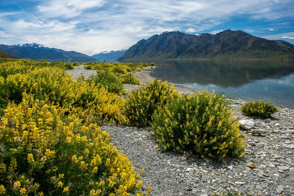 Piękny krajobraz z Nowej Zelandii. — Zdjęcie stockowe