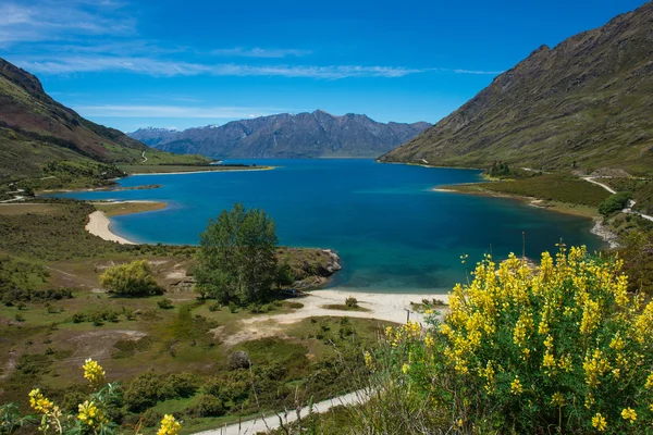 Schöne Landschaft von Neuseeland. — Stockfoto