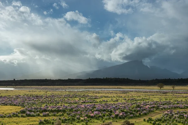 Landschap van Nieuw-Zeeland — Stockfoto