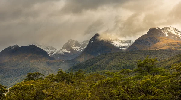 Landschaft Neuseelands — Stockfoto