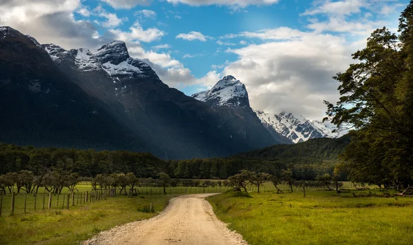 Landschaft Neuseelands — Stockfoto