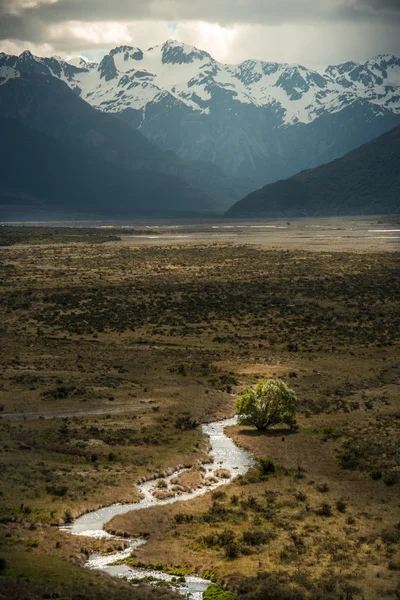 Paysage de la Nouvelle-Zélande — Photo