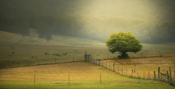 Platteland — Stockfoto