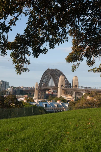 Hafenbrücke, Sydney — Stockfoto