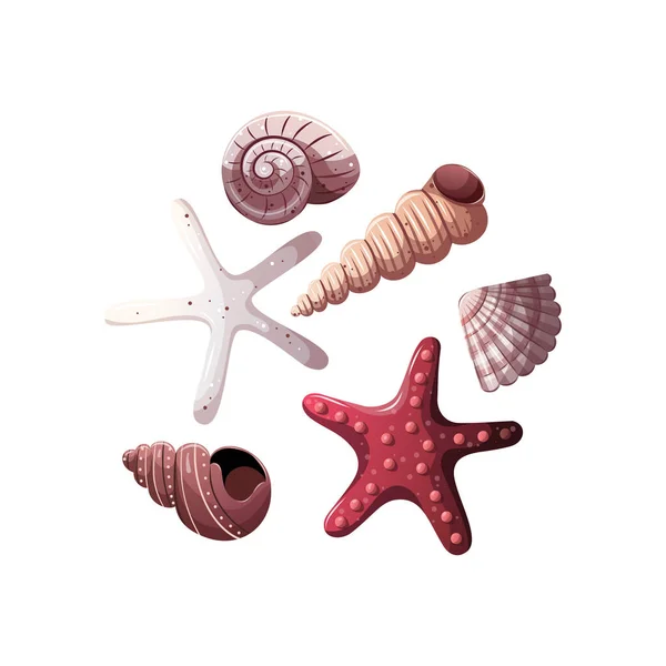 Seashells Starfishes Beach Marine Nature Nautical Concept Isolated Vector Collection — Stok Vektör