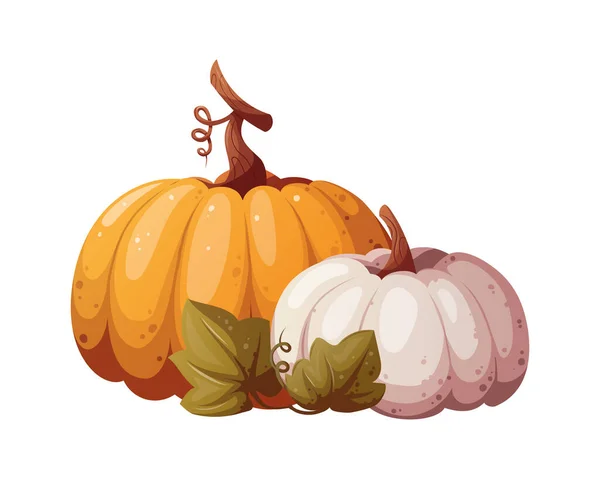 Желтые Белые Тыквы Осень Сбор Урожая День Благодарения Концепция Овощей — стоковый вектор