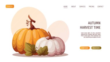 Sarı ve beyaz balkabakları. Sonbahar, hasat, Şükran Günü, sebze konsepti. Vektör çizimi. Web sitesi, pankart şablonu.