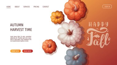 Renkli balkabaklarının üst görüntüsü. 