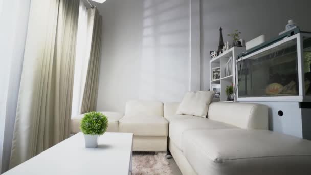 Innendesign Interieur Mit Weißem Sofa Und Ganz Weißen Gegenständen — Stockvideo