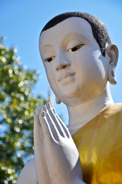 Monk statue — Stockfoto