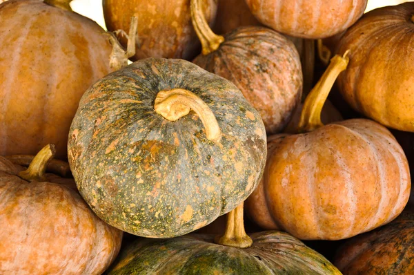 Pumpkins — Stock Photo, Image