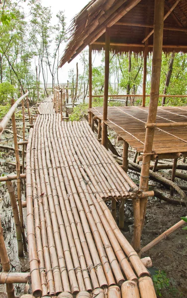 Bamboe wandelpad in mangrovebossen bij petchabuti, thailand — Stockfoto