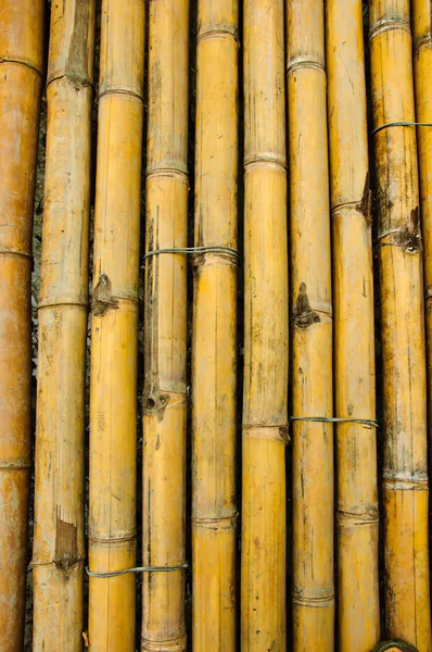 Passarela de bambu na floresta de Manguezal em Petchabuti, Tailândia — Fotografia de Stock