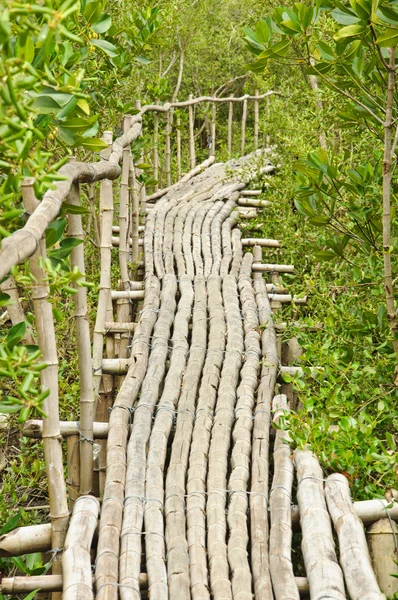 Petchabuti、タイでのマングローブ林における竹歩道 — ストック写真