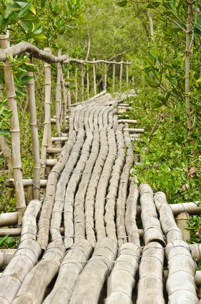 Pasarela de bambú en el bosque de manglares en Petchabuti, Tailandia — Foto de Stock