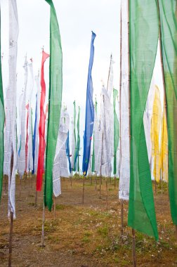 renkli mantra bayrağı alanında darjeeling, Hindistan