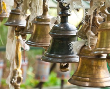 yazı, sikkim gölde khachoedpalri Bell