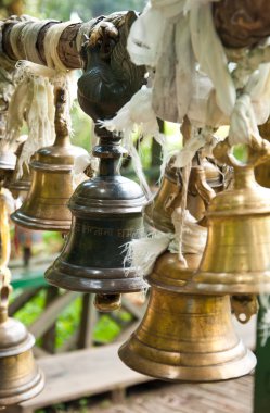 yazı, sikkim gölde khachoedpalri Bell