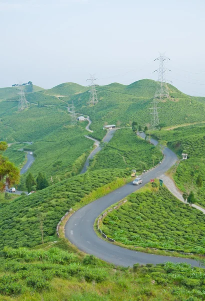 Road along tea plantation on the mountain in Darjeeling, India — Stock Photo, Image