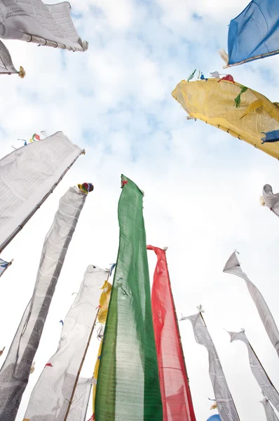 Campo colorido da bandeira de Mantra em Darjeeling, Índia — Fotografia de Stock