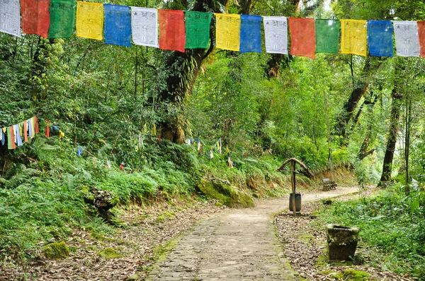 Gångväg med mantra flagga på khachoedpalri lake — Stockfoto