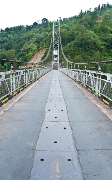 Канатный мост в Пеллинге — стоковое фото
