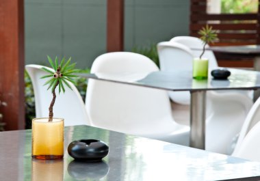 Masadaki küçük yapay Hindistan cevizi ağacı