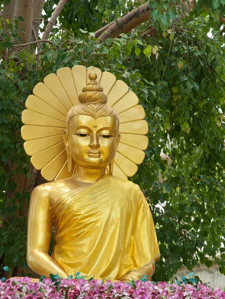 Sitting Buddha under tree — Stock Photo, Image