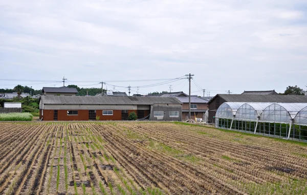 Asperges landbouw op isahaya, japan — Stockfoto