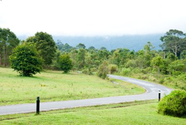 elektrik lambası dağ olan yol