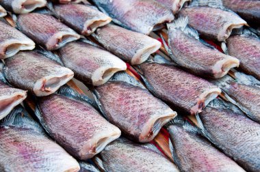 trichogaster pektoralis Balık Pişirme için kurutulmuş