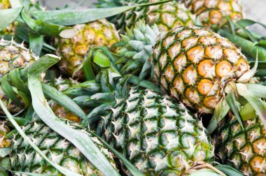 ananas Tayland grubu