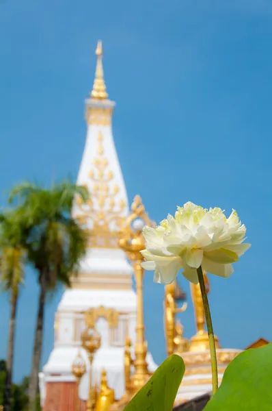 Loto bianco con Phra Thad Phanom a Nakornpanom, Thailandia — Foto Stock