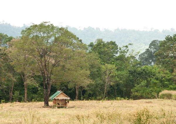 Eine Hütte in der Nähe eines Baumes auf dem Berg — Stockfoto