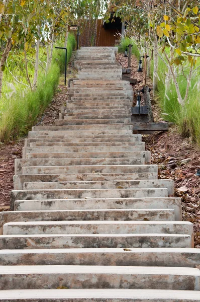 The stairs made from cement — Stock Photo, Image