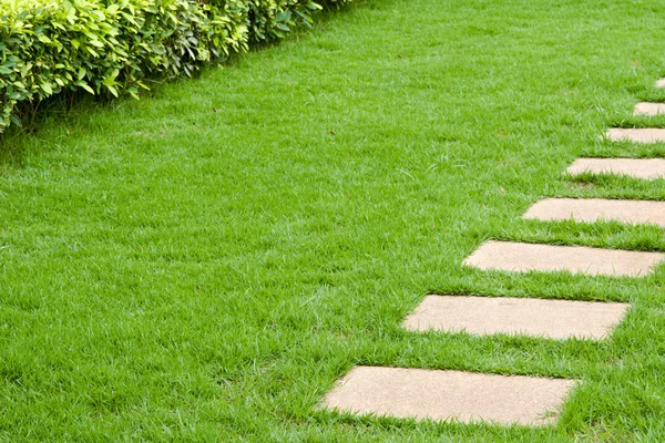 Bahçe yürüme yolu