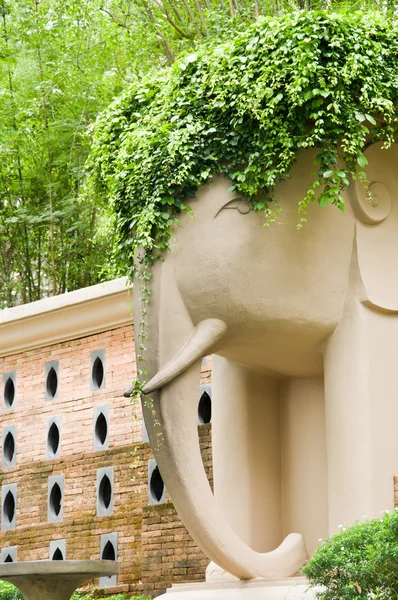 Elefant potten i trädgården — Stockfoto