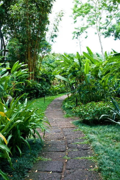 Der Fußweg im Garten — Stockfoto