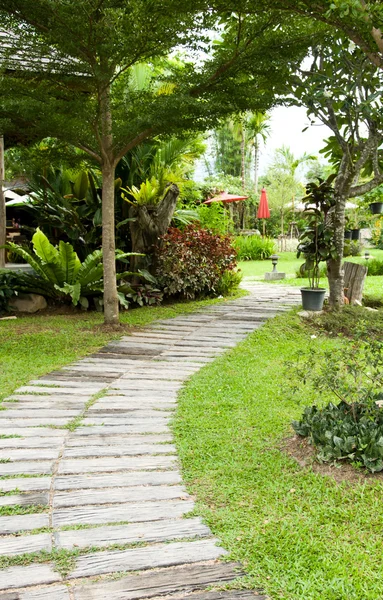 La pasarela del jardín — Foto de Stock