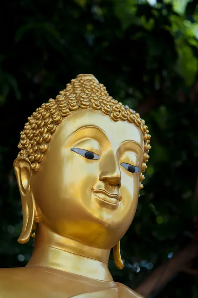 Il volto dorato della statua di Buddha — Foto Stock