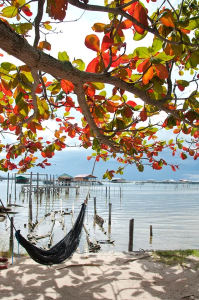 denize yakın ağaç altında beşik