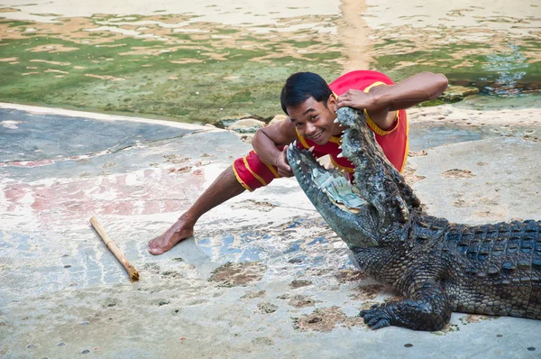 Espetáculo de crocodilo — Fotografia de Stock