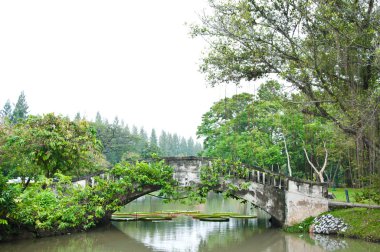 un ponte nel giardino