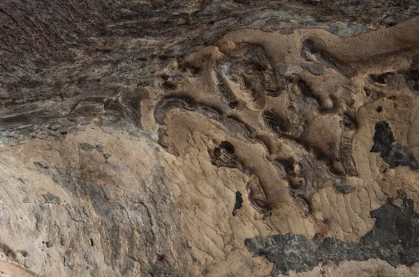 Stuckatur av antika vinkel på khao ngu grotta i thailand — Stockfoto