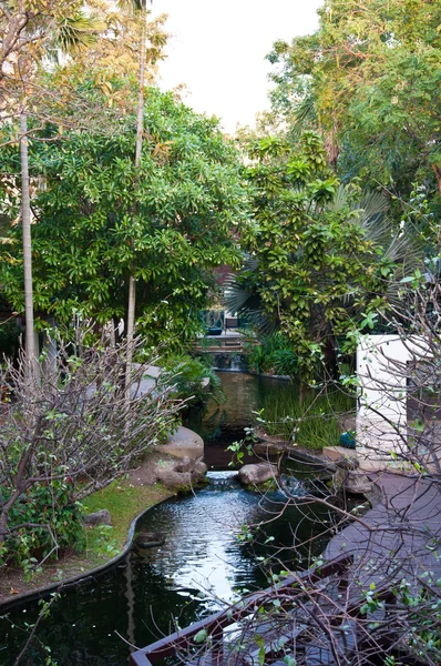 O jardim natural com lagoa — Fotografia de Stock