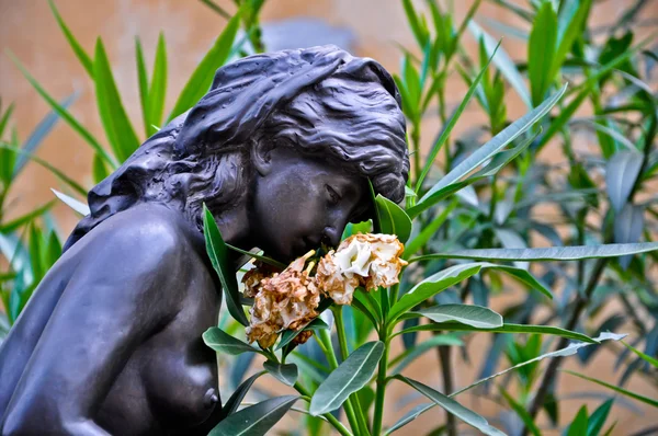 Mädchen staue smelsl flower — Stockfoto