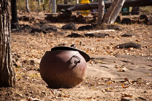 Ruuber Bin fou de caoutchouc de pneus dans le parc national de Kangtana à Ubi — Photo