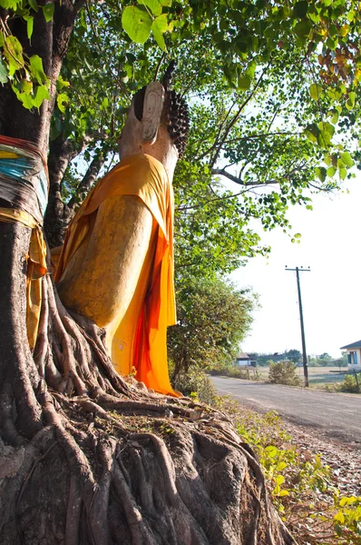 Vergadering budda onder Bodhiboom in de buurt street op jampasak, laos — Stockfoto